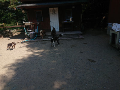 f:id:roukenhome-ann:20190811192345j:plain