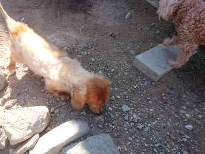 f:id:roukenhome-ann:20190811194550j:plain