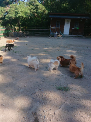 f:id:roukenhome-ann:20190811194557j:plain