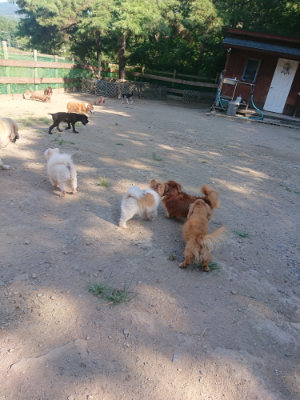 f:id:roukenhome-ann:20190811194606j:plain