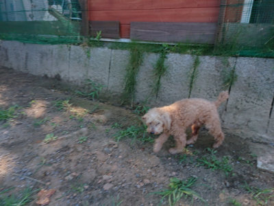 f:id:roukenhome-ann:20190811194613j:plain