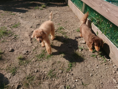f:id:roukenhome-ann:20190811194620j:plain