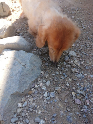 f:id:roukenhome-ann:20190811194634j:plain