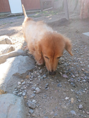 f:id:roukenhome-ann:20190811194642j:plain