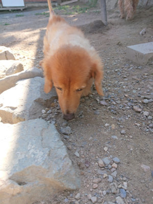 f:id:roukenhome-ann:20190811194653j:plain