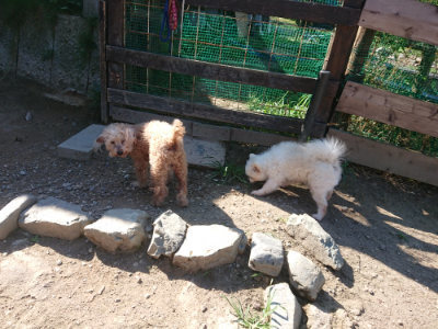 f:id:roukenhome-ann:20190811194720j:plain