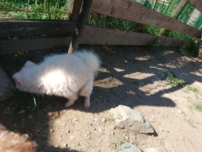 f:id:roukenhome-ann:20190811194729j:plain