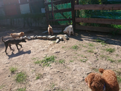 f:id:roukenhome-ann:20190811194806j:plain