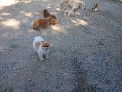f:id:roukenhome-ann:20190811194816j:plain