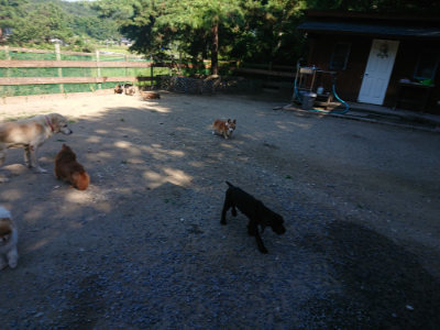 f:id:roukenhome-ann:20190811194851j:plain
