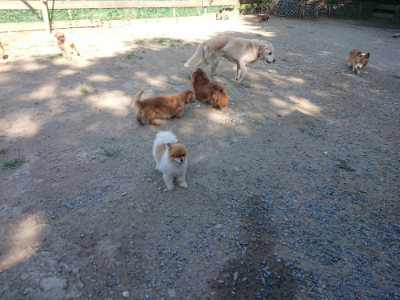 f:id:roukenhome-ann:20190811194906j:plain
