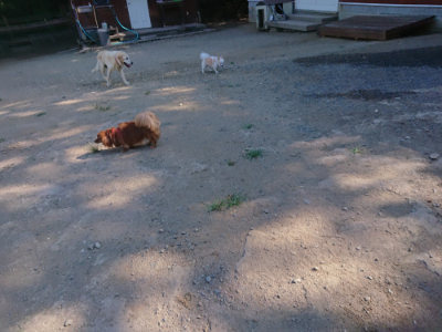 f:id:roukenhome-ann:20190811194931j:plain