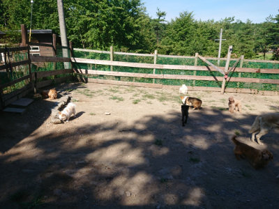 f:id:roukenhome-ann:20190811194941j:plain