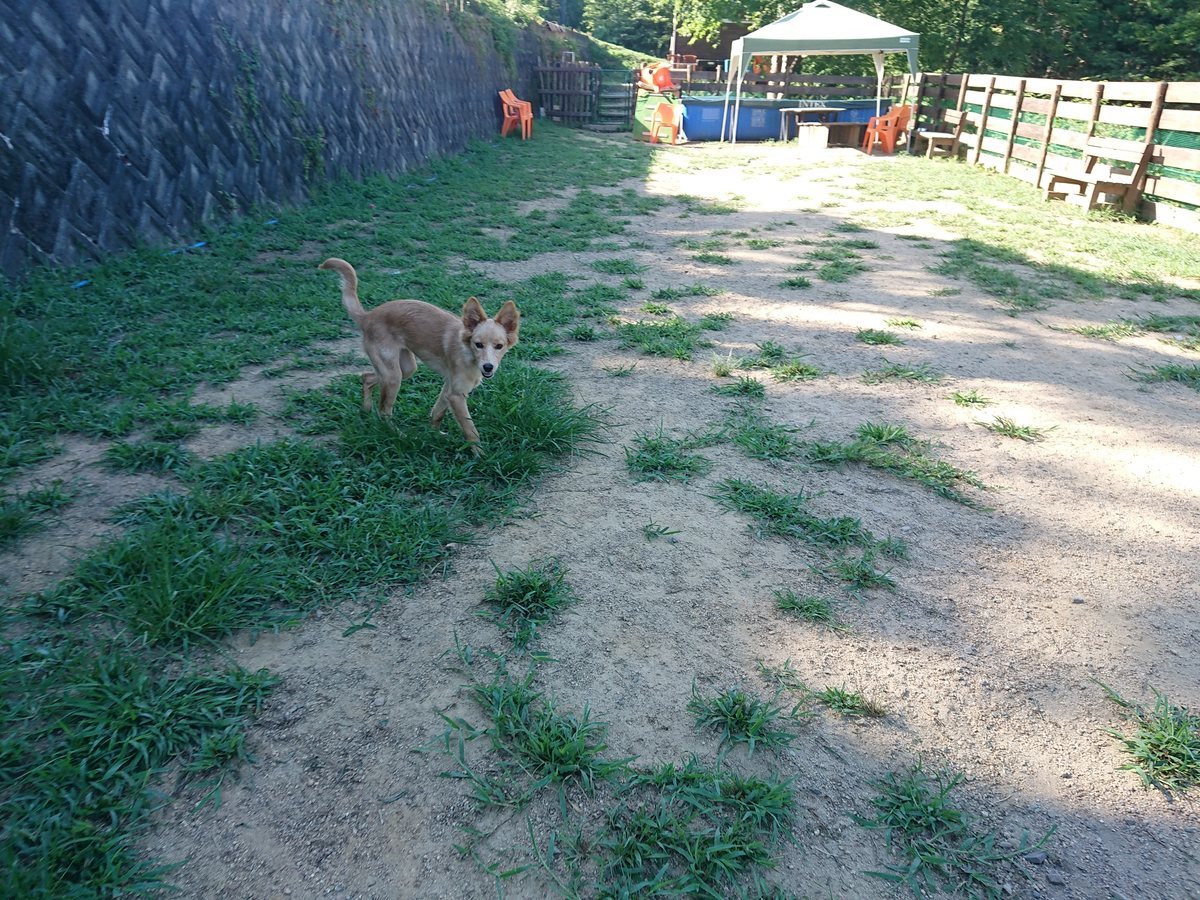 f:id:roukenhome-ann:20190811195546j:plain