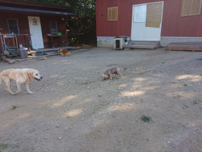 f:id:roukenhome-ann:20190811202258j:plain