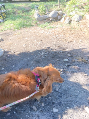 f:id:roukenhome-ann:20190811202528j:plain