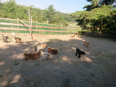 f:id:roukenhome-ann:20190811202536j:plain