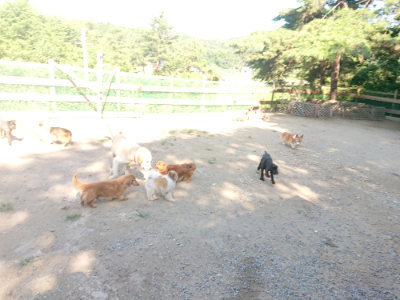 f:id:roukenhome-ann:20190811202647j:plain