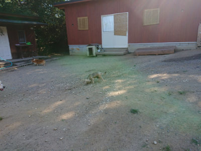 f:id:roukenhome-ann:20190811202701j:plain