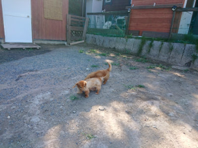 f:id:roukenhome-ann:20190811202736j:plain