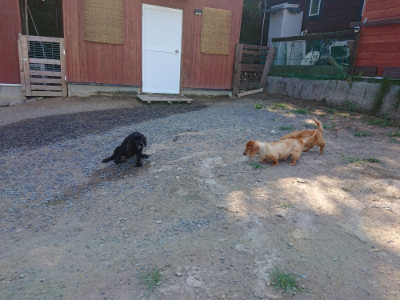 f:id:roukenhome-ann:20190811202816j:plain