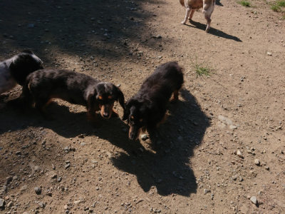 f:id:roukenhome-ann:20190811202844j:plain