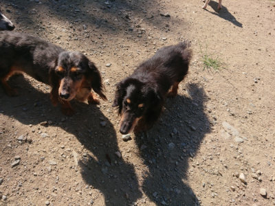 f:id:roukenhome-ann:20190811202855j:plain