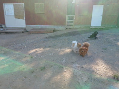 f:id:roukenhome-ann:20190811202908j:plain