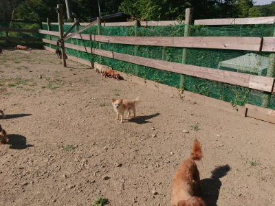 f:id:roukenhome-ann:20190811202933j:plain