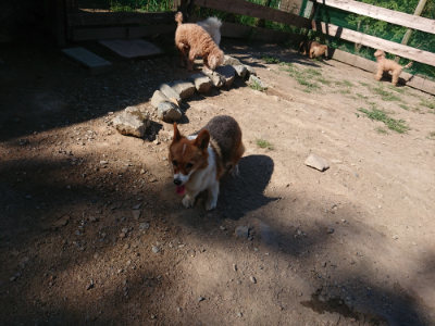 f:id:roukenhome-ann:20190811203027j:plain