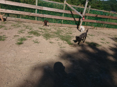 f:id:roukenhome-ann:20190811203034j:plain