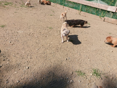 f:id:roukenhome-ann:20190811203043j:plain