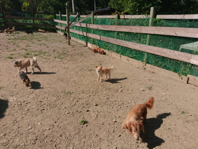 f:id:roukenhome-ann:20190811203049j:plain