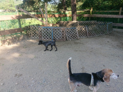 f:id:roukenhome-ann:20190811203101j:plain