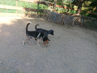 f:id:roukenhome-ann:20190811203134j:plain