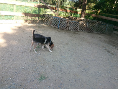 f:id:roukenhome-ann:20190811203223j:plain