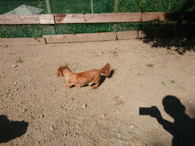 f:id:roukenhome-ann:20190811203239j:plain
