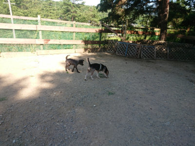 f:id:roukenhome-ann:20190811203255j:plain