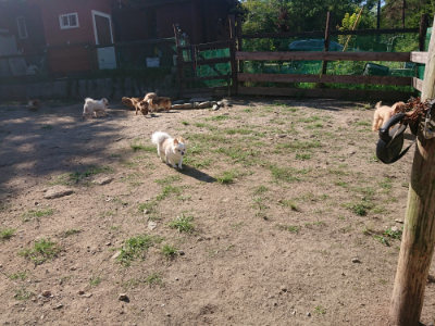 f:id:roukenhome-ann:20190811203310j:plain