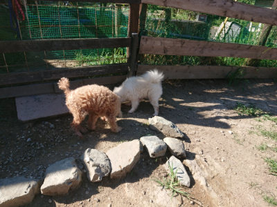 f:id:roukenhome-ann:20190811203320j:plain