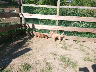 f:id:roukenhome-ann:20190811203327j:plain