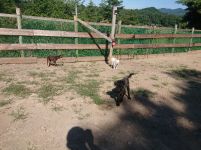 f:id:roukenhome-ann:20190811203334j:plain