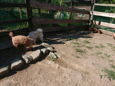 f:id:roukenhome-ann:20190811203341j:plain
