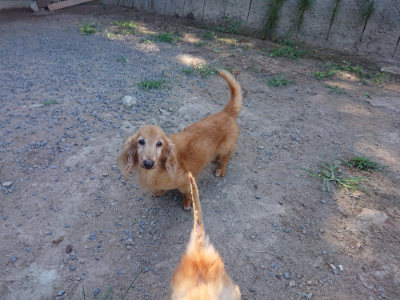 f:id:roukenhome-ann:20190811203430j:plain