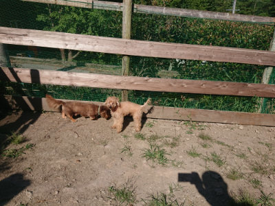 f:id:roukenhome-ann:20190811203448j:plain