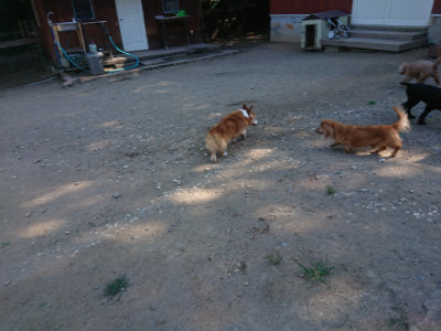 f:id:roukenhome-ann:20190811203832j:plain