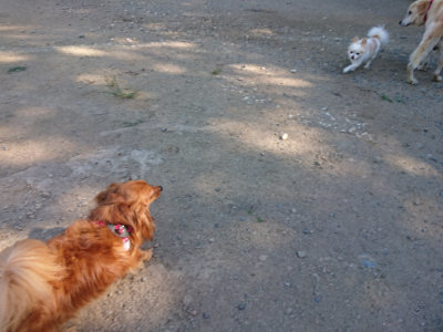f:id:roukenhome-ann:20190811203837j:plain