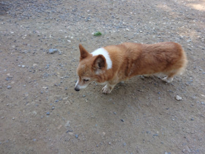 f:id:roukenhome-ann:20190811203843j:plain