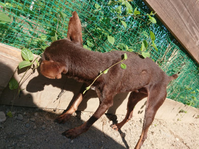 f:id:roukenhome-ann:20190811203932j:plain