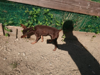 f:id:roukenhome-ann:20190811204012j:plain